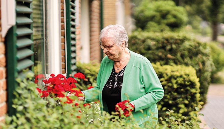 Mevrouw Bergsma plukt bloemen in haar tuin